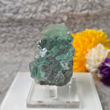 Load image into Gallery viewer, Green Fluorite Specimen (Xianghualing Mine, Hunan, China) – 湖南香花岭矿天然绿色萤石矿物标本