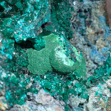 Load image into Gallery viewer, Dioptase with Malachite, Shattuckite & Chrysocolla Specimen (Congo) – 刚果翠铜矿共生孔雀石、蓝铜矿与蓝铜矿石矿标