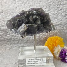 Load image into Gallery viewer, Colour-Changing Fluorite with Pyrite (Nigeria) – 尼日利亚变色萤石共生黄铁矿