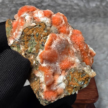 Load image into Gallery viewer, Thomsonite with Mesolite Specimen (India) – 印度托姆森石伴中沸石矿物标本