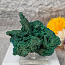 Load image into Gallery viewer, Dioptase with Malachite & Chrysocolla Specimen (Congo) – 刚果翠铜矿共生孔雀石与蓝铜矿矿标