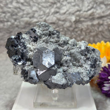 Load image into Gallery viewer, Galena on Quartz Mineral Specimen (Peru) – 秘鲁方铅矿共生石英天然矿物标本