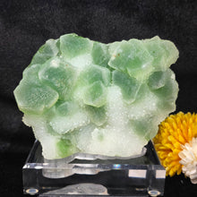 Load image into Gallery viewer, Green Fluorite with Quartz Druzy Display (Hunan, China) – 中国湖南绿色萤石共生石英晶簇摆件