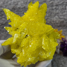 Load image into Gallery viewer, Laboratory-Grown Sulphur Crystal Cluster – 实验室培育硫磺晶簇