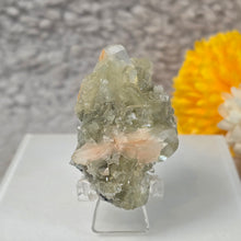 Load image into Gallery viewer, Gemmy Green Apophyllite Specimen Display – 宝石级绿色鱼眼石标本摆件