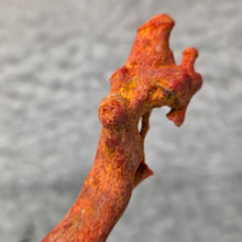 Load image into Gallery viewer, Raw Red Coral – Vitality, Protection & Emotional Strength