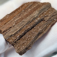 Load image into Gallery viewer, German Druzy Petrified Wood Display – Ancient Fossil Wood Specimen – 德国晶洞木化石远古化石标本