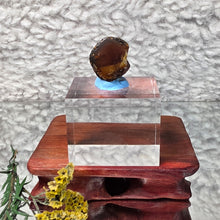 Load image into Gallery viewer, Raw Blue Amber – Calm Energy, Clarity & High-Vibration Protection