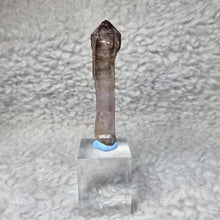 Load image into Gallery viewer, Super 7 Crystal Scepter – Natural Melody Stone