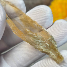 Load image into Gallery viewer, Golden Selenite Specimen Display (Turkey) – 土耳其金色透石膏标本摆件