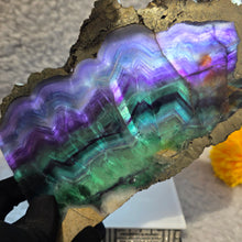 Load image into Gallery viewer, Fluorite with Pyrite Slab Display – 萤石共生黄铁矿天然矿物摆件