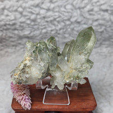 Load image into Gallery viewer, Green Phantom Quartz Cluster (Pakistan) – Growth, Prosperity & Earth Energy
