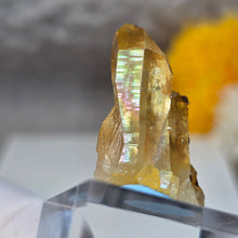 Load image into Gallery viewer, Iridescent Golden Healer Quartz Display (Uri, Switzerland) – 瑞士乌里彩虹金疗愈水晶摆件