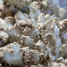 Load image into Gallery viewer, Quartz with Calcite & Actinolite Cluster (Madan Ore Field, Smolyan Province, Bulgaria) – 保加利亚马丹矿区石英方解石阳起石共生晶簇