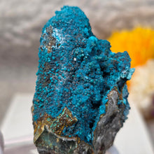 Load image into Gallery viewer, Blue Chrysocolla on Quartz Display (Peru) – 秘鲁蓝硅孔雀石共生石英摆件