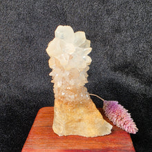 Load image into Gallery viewer, Cave Calcite Stalactite Display – 钟乳石方解石摆件