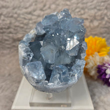Load image into Gallery viewer, Top-Grade Celestite Specimen Display (Madagascar) – 顶级马达加斯加天青石标本摆件