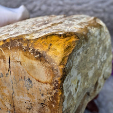 Load image into Gallery viewer, Petrified Wood Display (Madagascar) – 马达加斯加木化石摆件