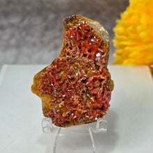 Load image into Gallery viewer, Vanadinite Mineral Specimen (Morocco) – 摩洛哥天然钒铅矿矿物标本