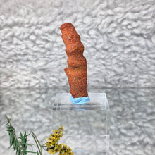 Load image into Gallery viewer, Raw Red Coral – Vitality, Protection & Emotional Strength