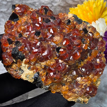 Load image into Gallery viewer, Spessartine Garnet with Smoky Quartz Specimen Display – 锰铝榴石伴生烟水晶标本摆件