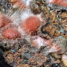 Load image into Gallery viewer, Thomsonite with Mesolite Specimen (India) – 印度托姆森石伴中沸石矿物标本