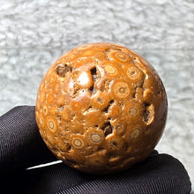 Load image into Gallery viewer, 佛眼龙宫舍利 (Thai Dragon Palace Relic Stone) – Protection, Blessings & Spiritual Power