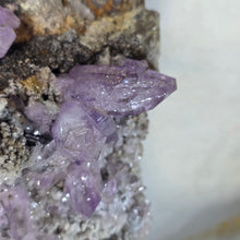Load image into Gallery viewer, Vera Cruz Amethyst Cluster Display (Mexico) – 墨西哥韦拉克鲁斯紫水晶簇摆件