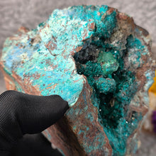 Load image into Gallery viewer, Dioptase with Malachite, Shattuckite & Chrysocolla Specimen (Congo) – 刚果翠铜矿共生孔雀石、蓝铜矿与蓝铜矿石矿标