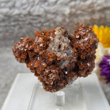 Load image into Gallery viewer, Aragonite Specimen (Bulgaria) – 保加利亚霰石矿标