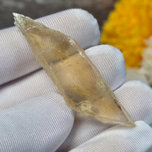 Load image into Gallery viewer, Golden Selenite Specimen Display (Turkey) – 土耳其金色透石膏标本摆件