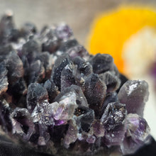 Load image into Gallery viewer, Amethyst Cluster Specimen (Bulgaria) – 保加利亚紫水晶簇矿标