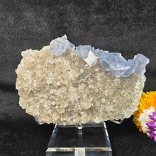 Load image into Gallery viewer, Blue Fluorite on Smoky Quartz Cluster (Fujian, China) – 中国福建蓝色萤石共生烟晶簇