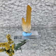 Load image into Gallery viewer, Golden Healer Quartz from Arkansas – High Clarity Healing Crystal
