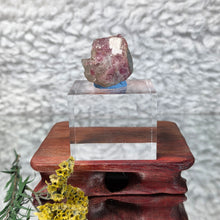 Load image into Gallery viewer, Raw Plum Blossom Tourmaline – Emotional Balance & Heart Chakra Energy