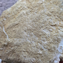 Load image into Gallery viewer, Quartz with Calcite & Actinolite Cluster (Madan Ore Field, Smolyan Province, Bulgaria) – 保加利亚马丹矿区石英方解石阳起石共生晶簇