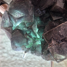 Load image into Gallery viewer, Colour-Changing Fluorite with Pyrite (Nigeria) – 尼日利亚变色萤石共生黄铁矿