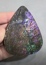 Load image into Gallery viewer, Ammolite from Canada
