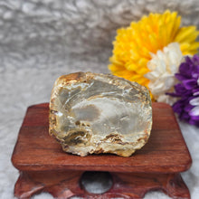 Load image into Gallery viewer, Petrified Wood Display (Madagascar) – 马达加斯加木化石摆件