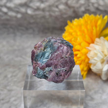 Load image into Gallery viewer, Raw Ruby with Kyanite Specimen Display – 红宝石共生蓝晶石原矿摆件