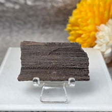 Load image into Gallery viewer, German Druzy Petrified Wood Display – Ancient Fossil Wood Specimen – 德国晶洞木化石远古化石标本