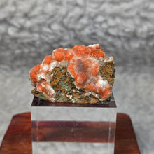 Load image into Gallery viewer, Thomsonite with Mesolite Specimen (India) – 印度托姆森石伴中沸石矿物标本