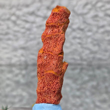 Load image into Gallery viewer, Raw Red Coral – Vitality, Protection & Emotional Strength