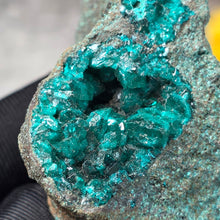 Load image into Gallery viewer, Dioptase Specimen (Congo) – 刚果翠铜矿矿标