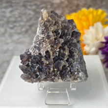 Load image into Gallery viewer, Amethyst Cluster Specimen (Bulgaria) – 保加利亚紫水晶簇矿标