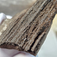 Load image into Gallery viewer, German Druzy Petrified Wood Display – Ancient Fossil Wood Specimen – 德国晶洞木化石远古化石标本