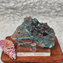 Load image into Gallery viewer, Dioptase (Congo) – Intense Heart Healing & Rare Collector Crystal