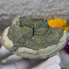 Load image into Gallery viewer, Rainbow Pyrite Specimen Display (Russia) – 俄罗斯彩虹黄铁矿标本摆件