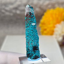 Load image into Gallery viewer, Blue Chrysocolla on Quartz Display (Peru) – 秘鲁蓝硅孔雀石共生石英摆件