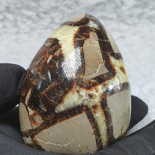 Load image into Gallery viewer, Septarian Geode – Grounding & Expression Stone